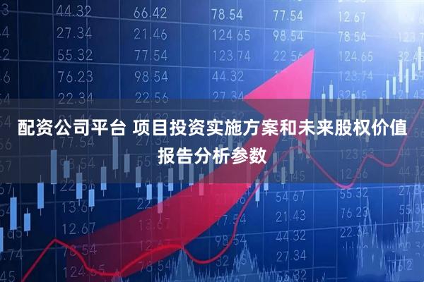 配资公司平台 项目投资实施方案和未来股权价值报告分析参数