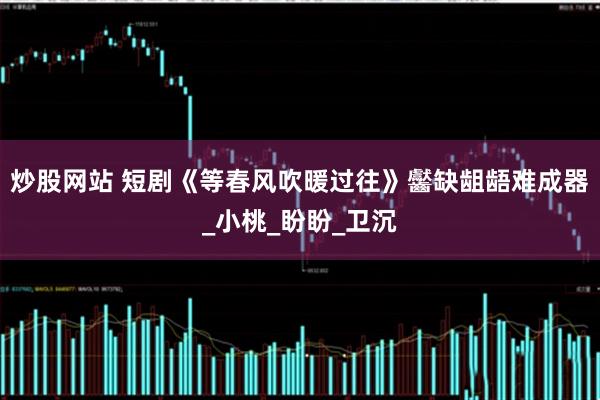 炒股网站 短剧《等春风吹暖过往》齾缺龃龉难成器_小桃_盼盼_卫沉
